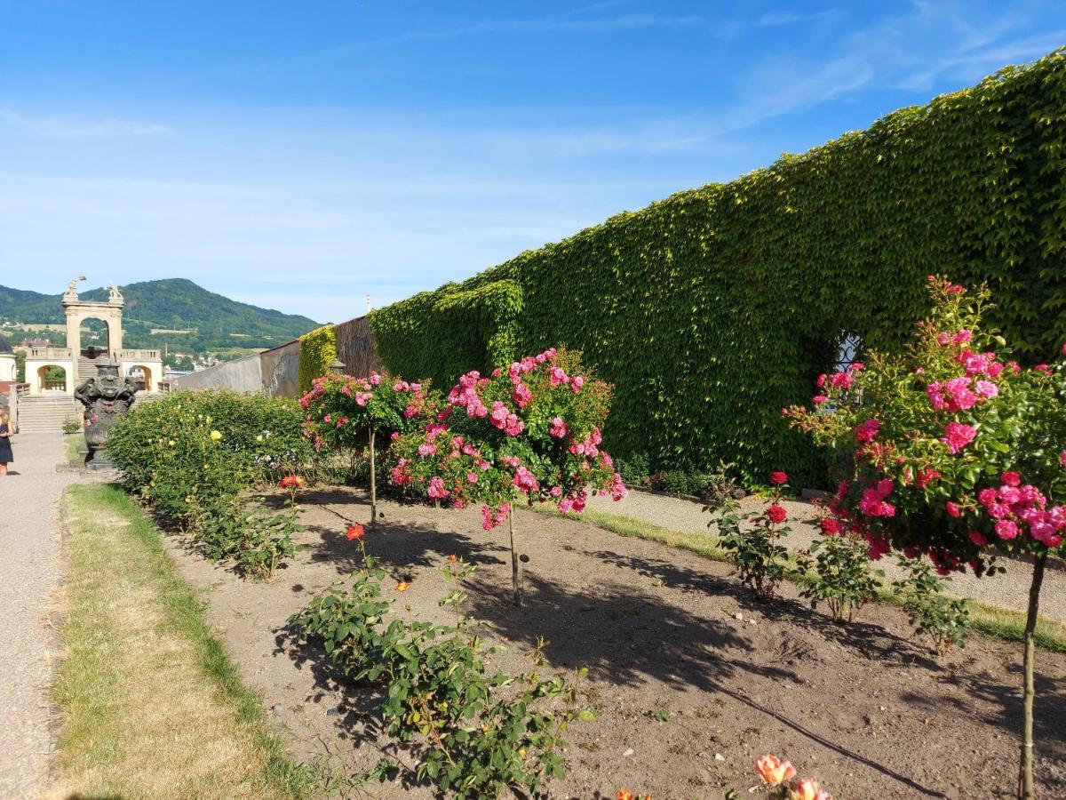 Apartments Rose Garden Decin Bagian luar foto