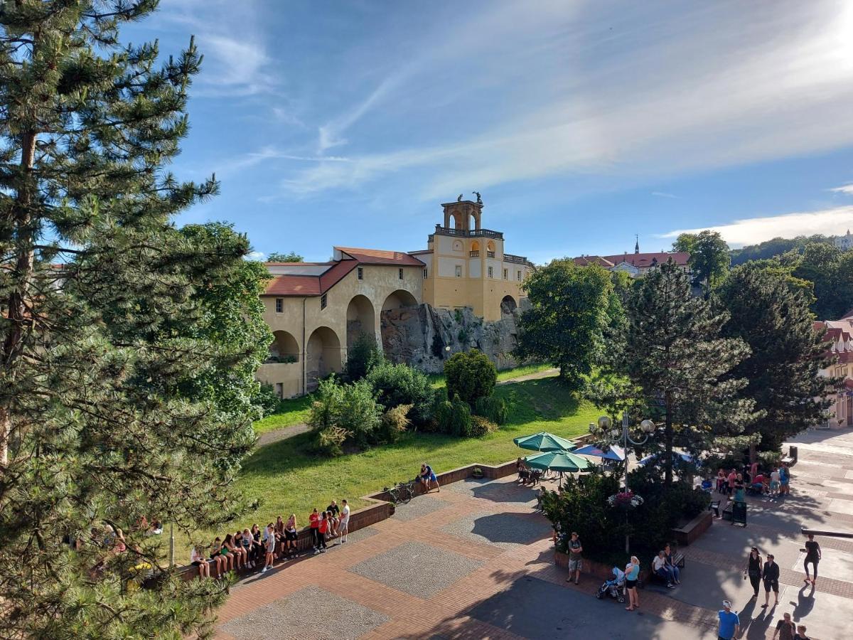 Apartments Rose Garden Decin Bagian luar foto