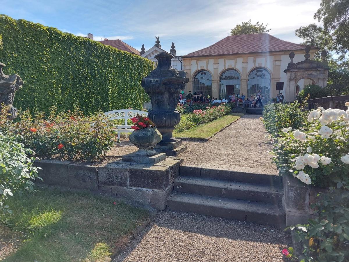 Apartments Rose Garden Decin Bagian luar foto